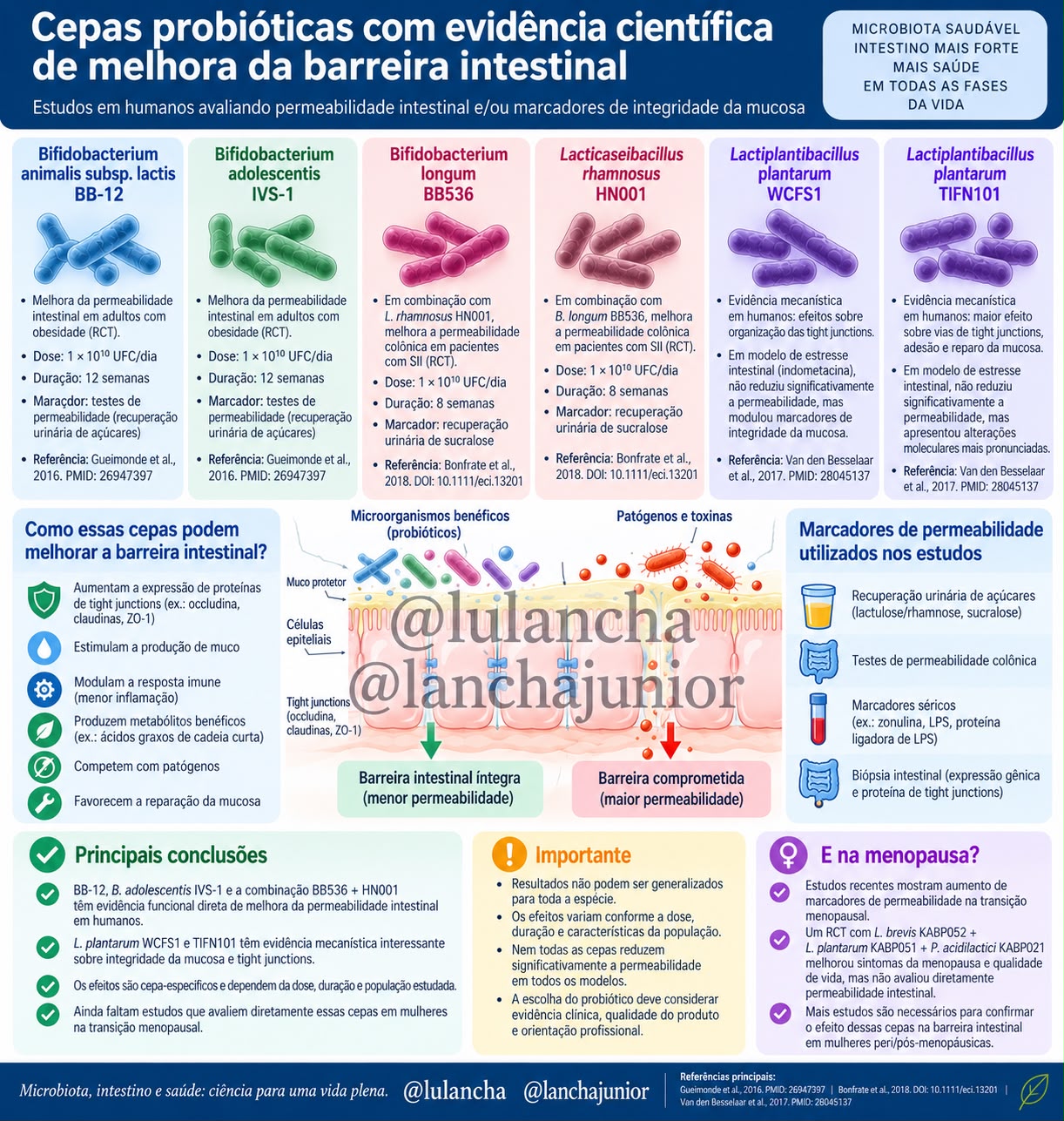 Arte "Cepas probióticas com evidência científica de melhora da barreira intestinal" — Lancha Junior e Luciana Lancha