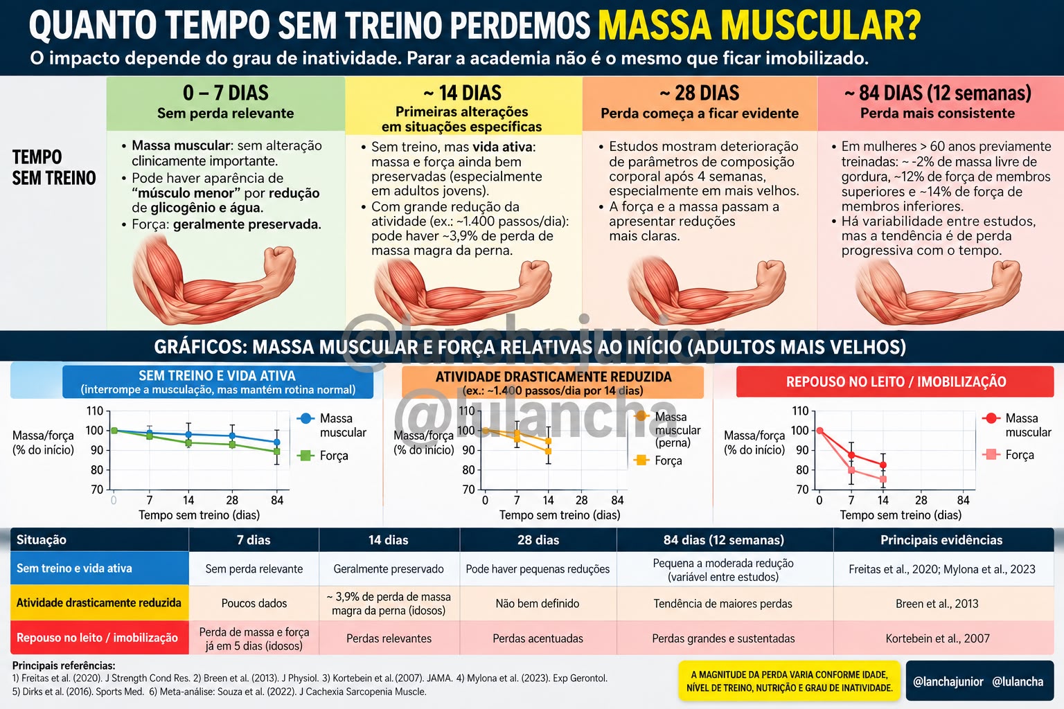Arte "Quanto tempo sem treino perdemos massa muscular?" — Lancha Junior e Luciana Lancha