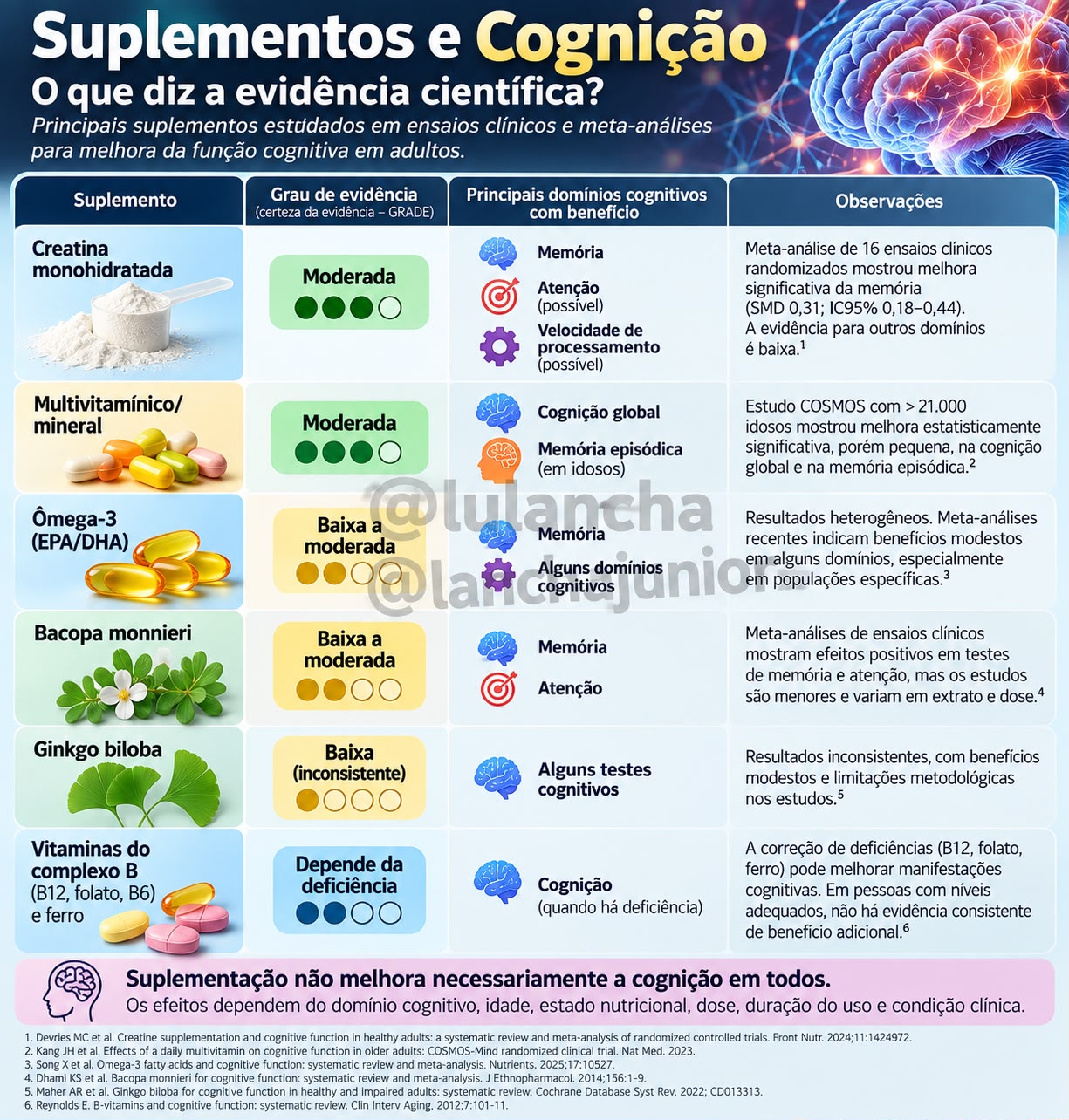 Arte "Suplementos e Cognição: o que diz a evidência científica?" — Lancha Junior e Luciana Lancha